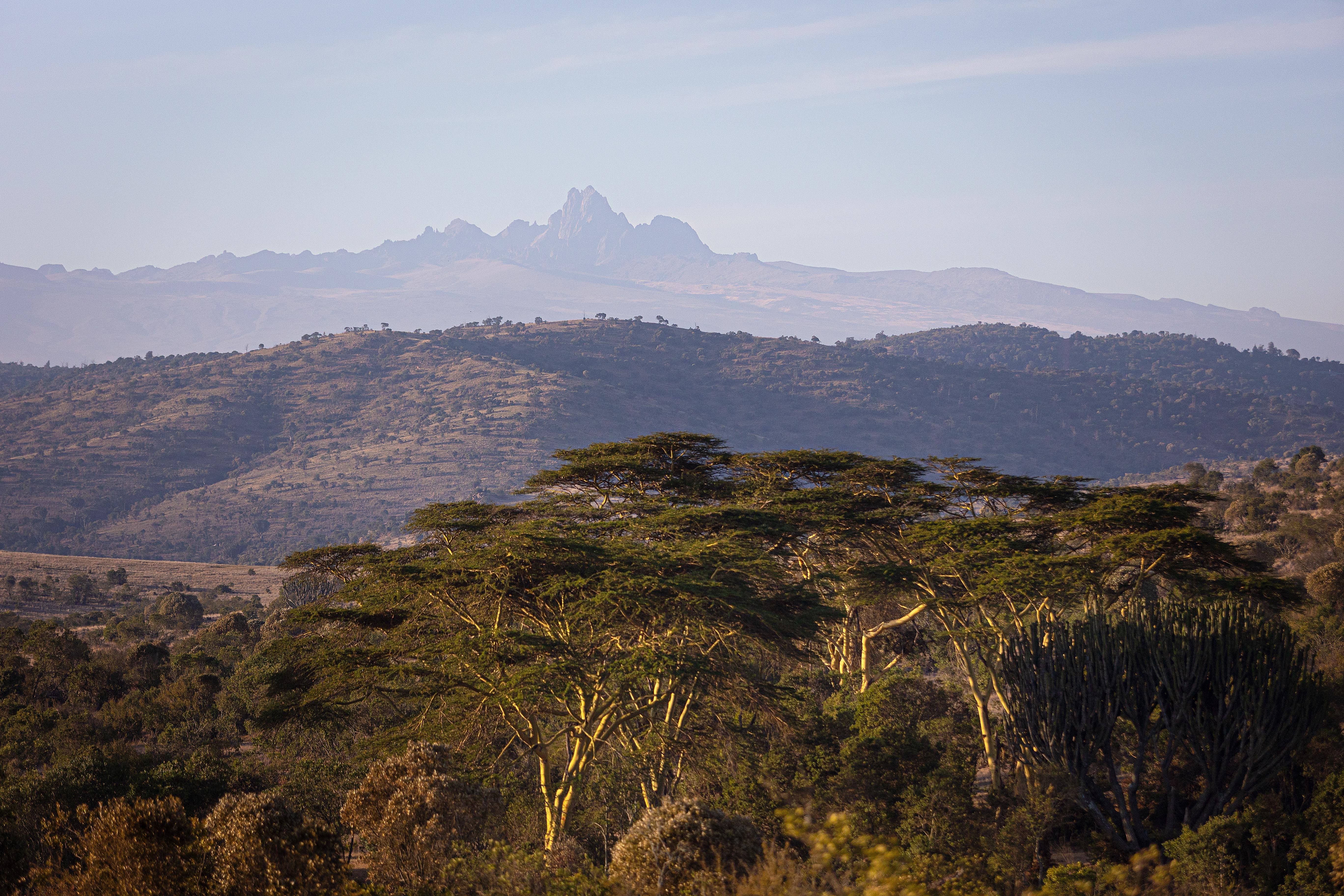 Borana Lodge thumbnail 11